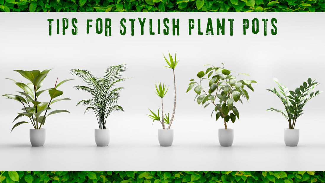Upgrade Your Greenery: Simple Tips for Stylish Indoor Plant Pots
