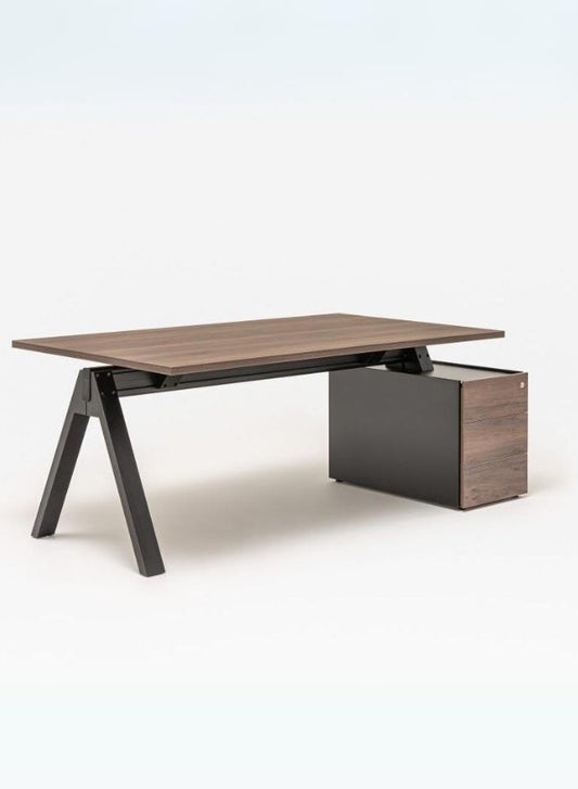 Viga Executive Desk with Pedestal