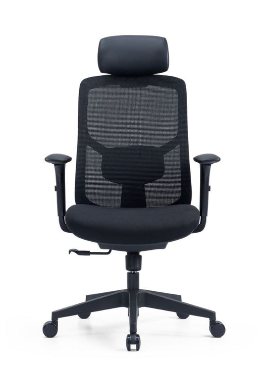 Ergonomic Office Chair with Adjustable Headrest and Lumbar Support front