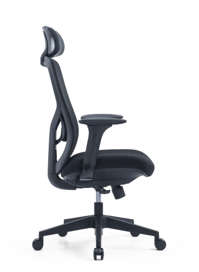 Ergonomic Office Chair with Adjustable Headrest and Lumbar Support side