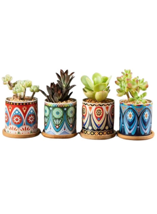 4 Pcs Succulent Indoor Flower Pots Small Modern Ceramic Indoor Plant Pot with Bamboo Tray for Cactus Herbs Home Interior Design 3 (Plants NOT Included) Fatio General Trading