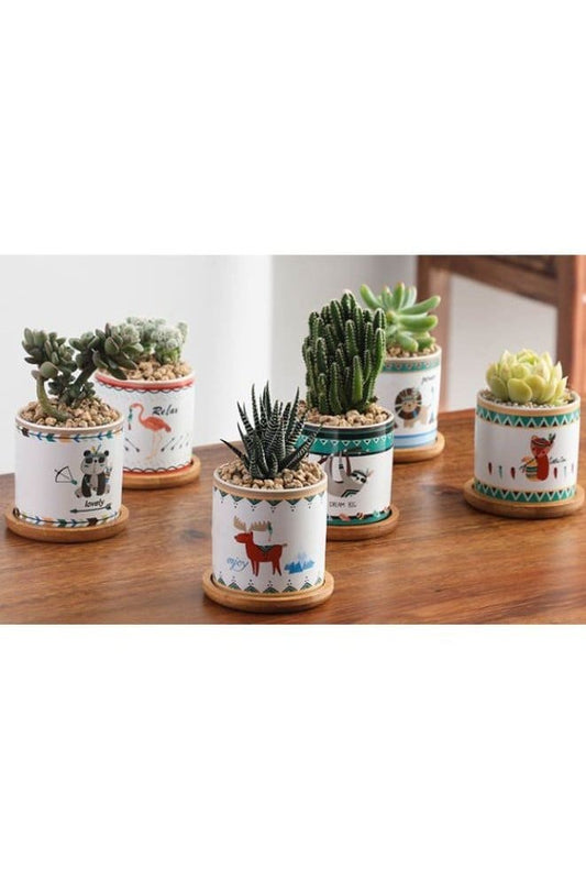 6 Pcs Geometric Succulent Planter, Set of 6 Painted Ceramic Succulent Cactus Square Planter Pots with Bamboo Tray(Plants NOT Included) Fatio General Trading