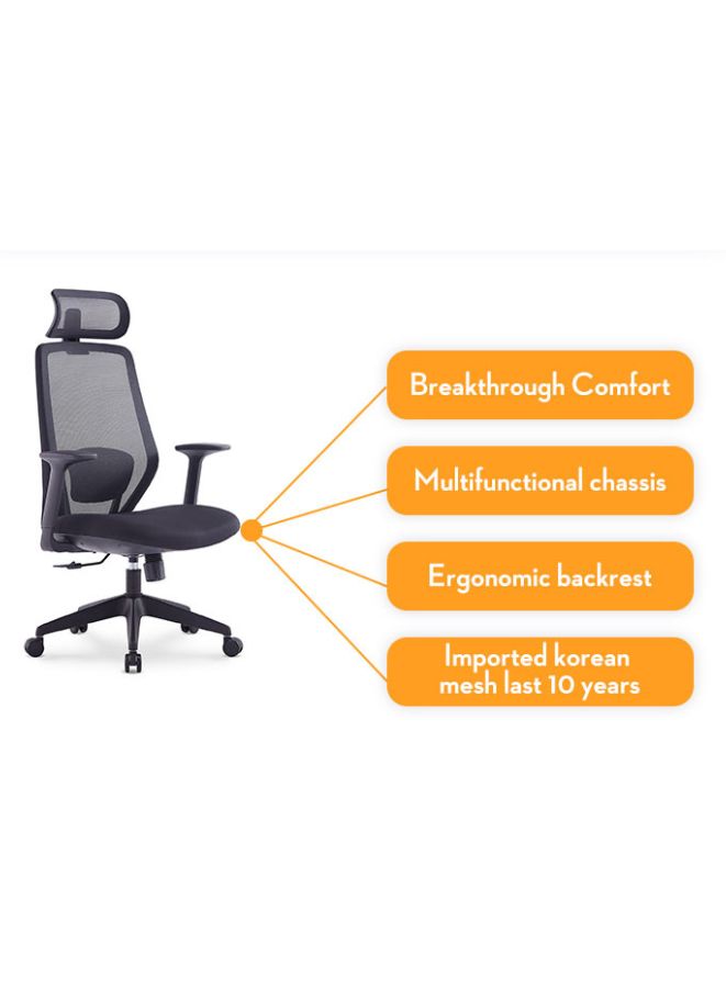 Executive High Back Mesh Office Chair With Headrest, Height Adjustable Black Frame Chair