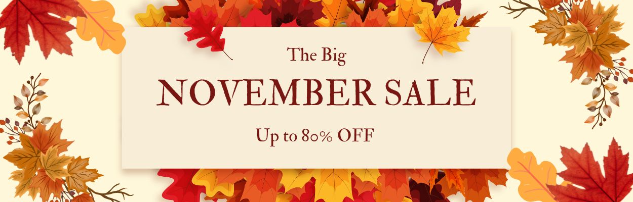 November sale - up to 80% off banner desktop