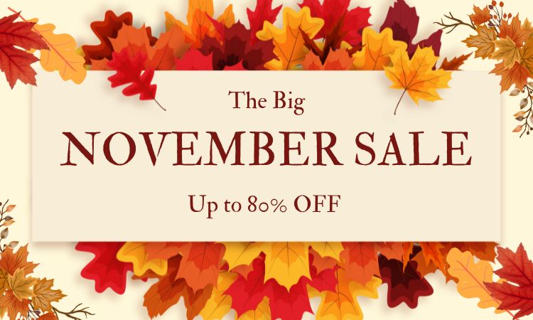 November sale - up to 80% off banner desktop