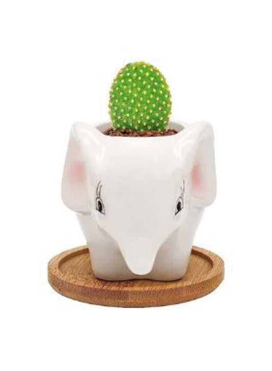 Cute Succulent Indoor Plant Pot, Succulent Pots with Drainage Hole, Elephant