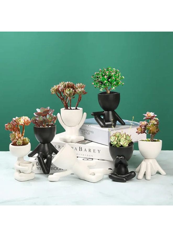 indoor decor plant pot