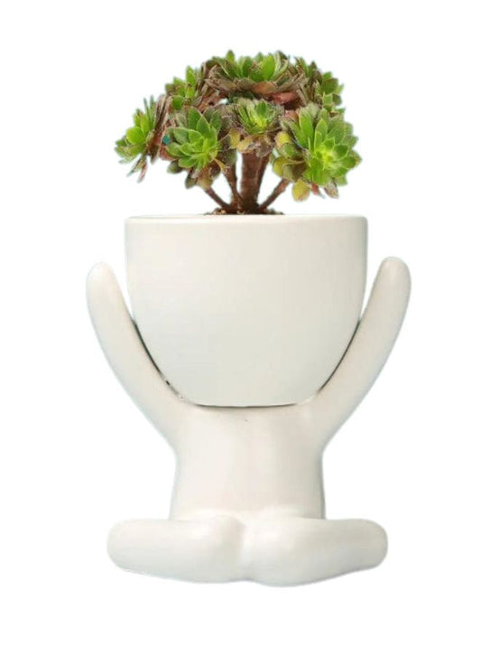 indoor decor plant pot