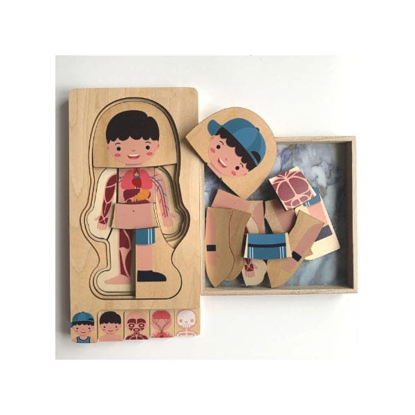 Children Educational Wooden Human Body Structure Wooden Puzzles for Kids (Boy) Fatio General Trading