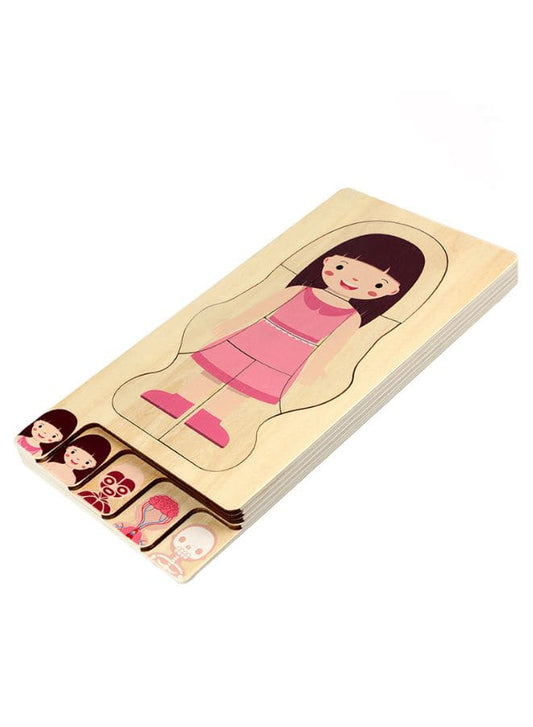 Children Educational Wooden Human Body Structure Wooden Puzzles for Kids (Girl) Fatio General Trading