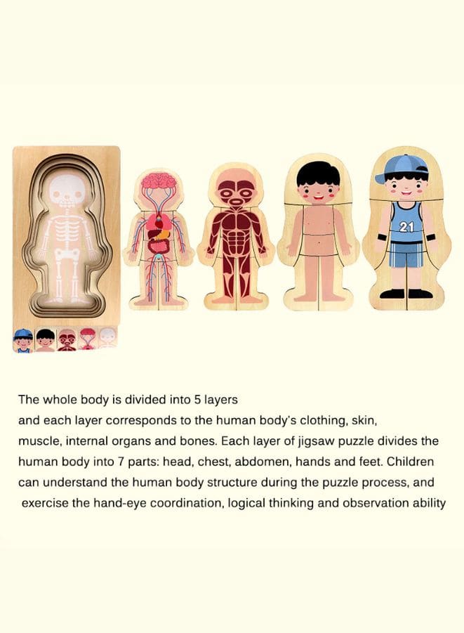 Children Educational Wooden Human Body Structure Wooden Puzzles for Kids (Girl) Fatio General Trading
