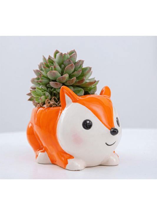 Cute Indoor Plant Pot, Succulent Pots with Drainage Hole, Fox