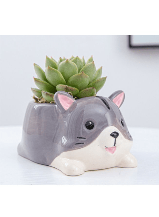 Cute Indoor Plant Pot, Succulent Pots with Drainage Hole, Dog