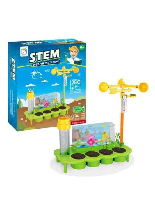 DIY Kids Weather Report Plantation Science Intellectual Toys Set STEM Educational Toys For Children Science Experiment Gift Fatio General Trading
