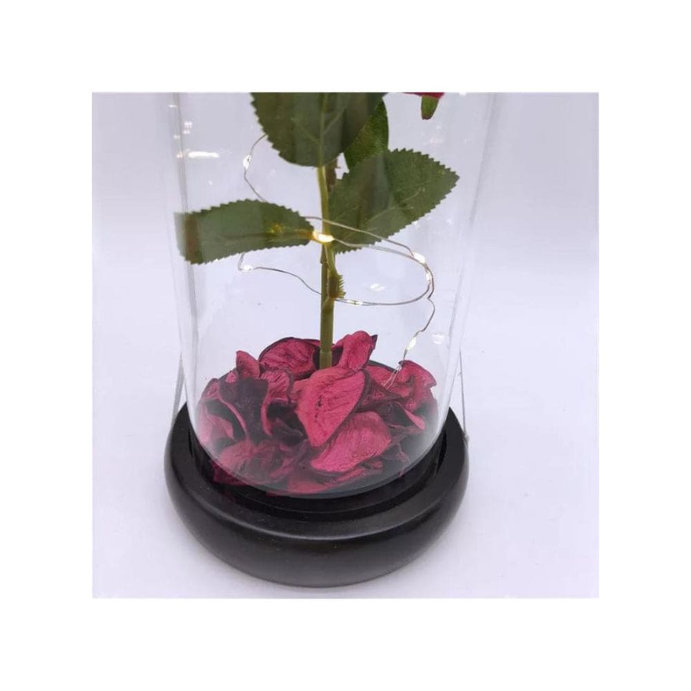 Enchanted Red Rose with Petals in Glass Dome Personalized Gifts for Women Girlfriend Valentine’s Day Mother’s Day Christmas Anniversary Birthday Fatio General Trading