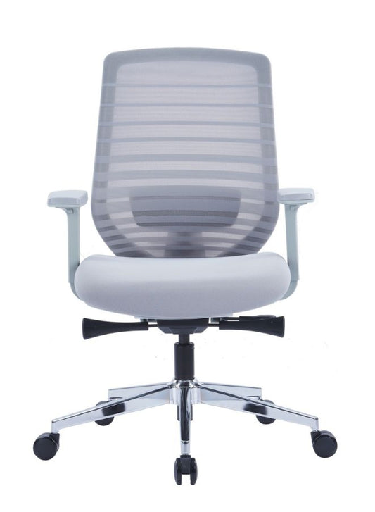 Premium Grey Mesh Office Chair with Adjustable Lumbar Support and Recline - Ergonomic Desk Chair for Home or Office with Stylish Design and Comfort Features with Arm Rest