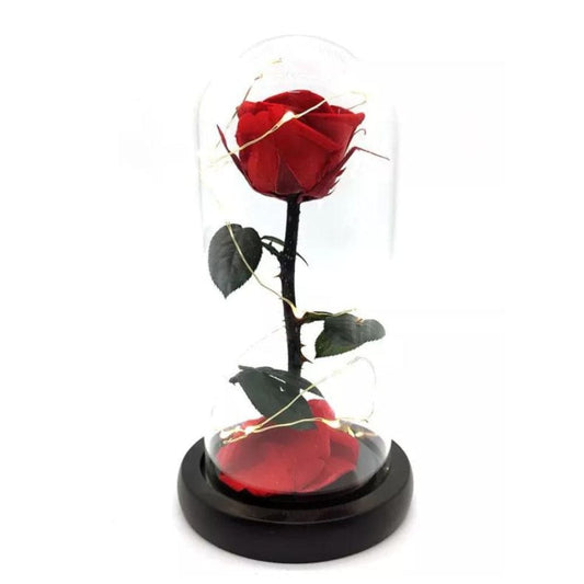 Preserved Rose Enchanted Rose Red Silk Rose in Glass Dome with LED Lights Pine Base, Romantic Home Decor Gifts for Mothers Day Wedding Anniversary Birthday Valentines Day Fatio General Trading