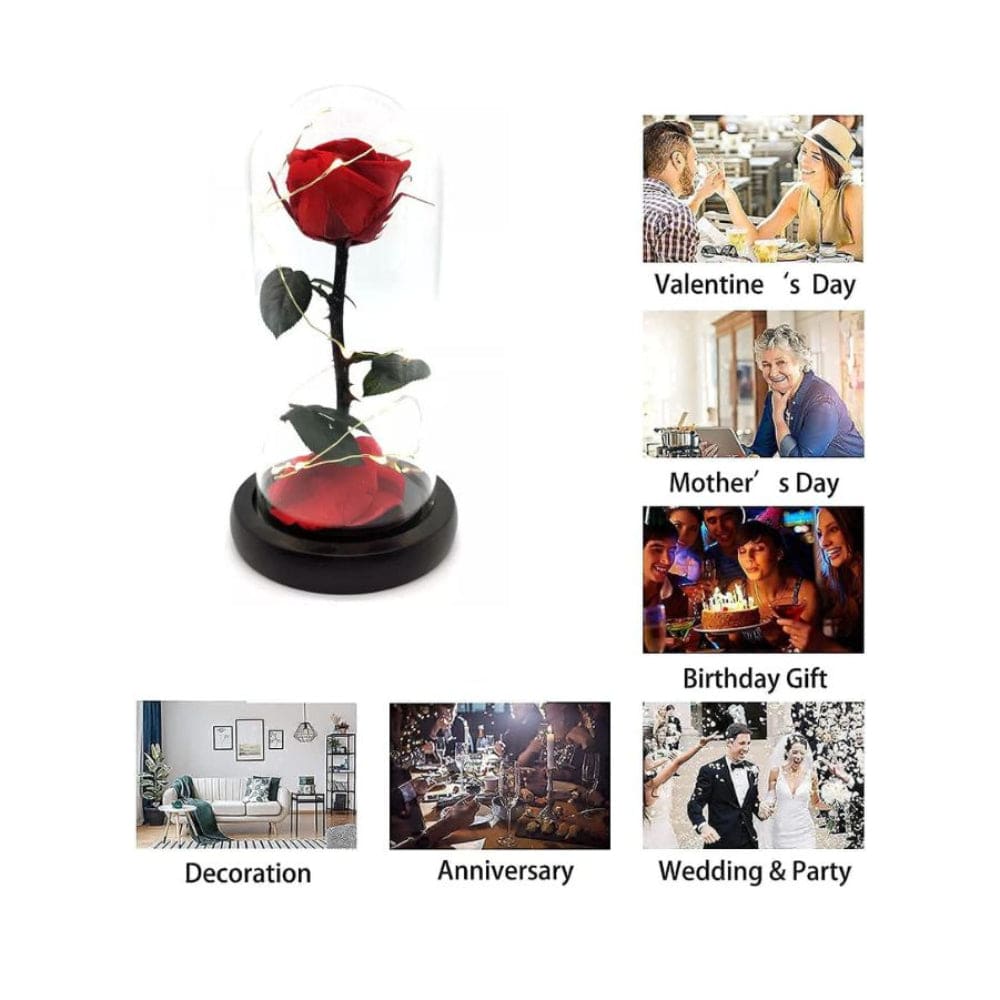 Preserved Rose Enchanted Rose Red Silk Rose in Glass Dome with LED Lights Pine Base, Romantic Home Decor Gifts for Mothers Day Wedding Anniversary Birthday Valentines Day Fatio General Trading