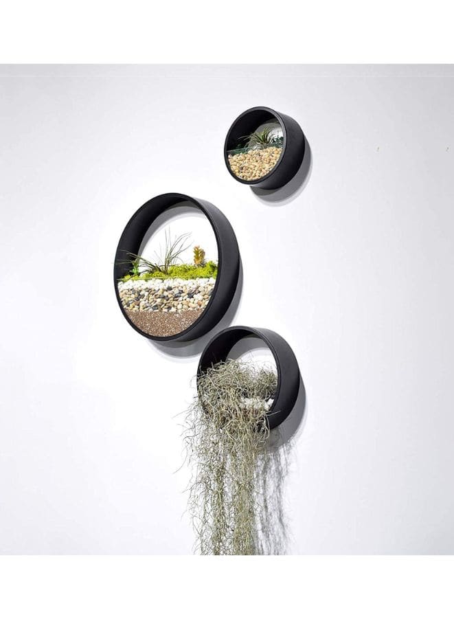 indoor wall decor plant pot