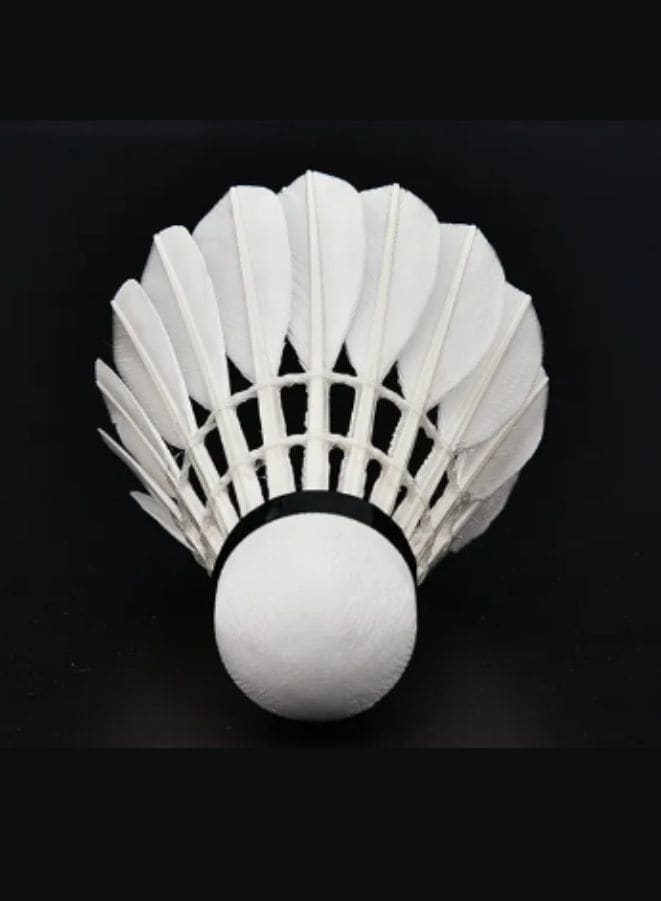 Whizz 12 PCS Feather Badminton Shuttle Class A Goose Feather Badminton Balls Sports Training Badminton Balls for Indoor Outdoor Sports, White Fatio General Trading