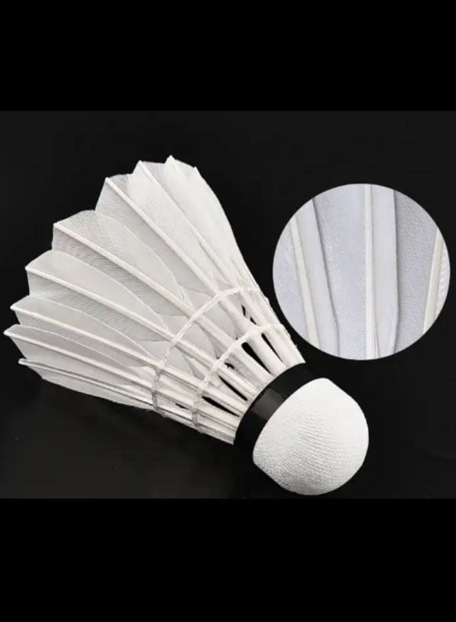 Whizz 6 PCS Feather Badminton Shuttle Goose Curving Feather Badminton Balls Sports Training Badminton Balls for Indoor Outdoor Sports, White Fatio General Trading