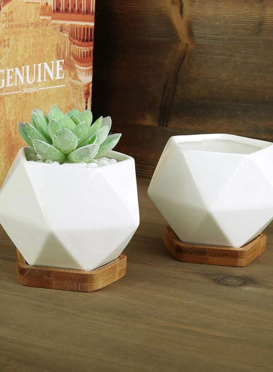 White Succulent Plant Pot With Bamboo Tray and Drainage Hole for Desk, Home Garden (Plant Not Included)