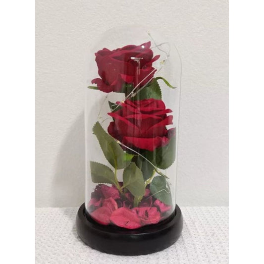 2 Roses Dome Lights, Rose Flowers Light in a Glass, Artificial Flowers Rose Gift Warm White Light Gifts for Valentines/ Birthday/ Christmas/ Wedding Gift - Fatio General Trading
