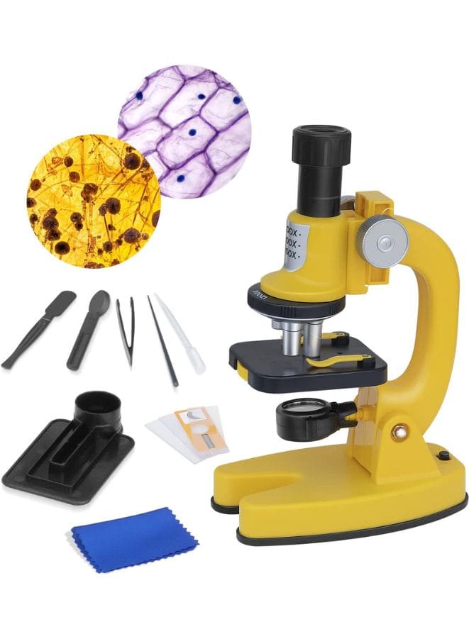 200X-1200X Microscope for Kids, with 4 Colored Filters, Slide Set, Mineral Samples and Easy-to-Use Phone Holder, Science Experiment Kit Toys for Children Aged 8+ - Fatio General Trading
