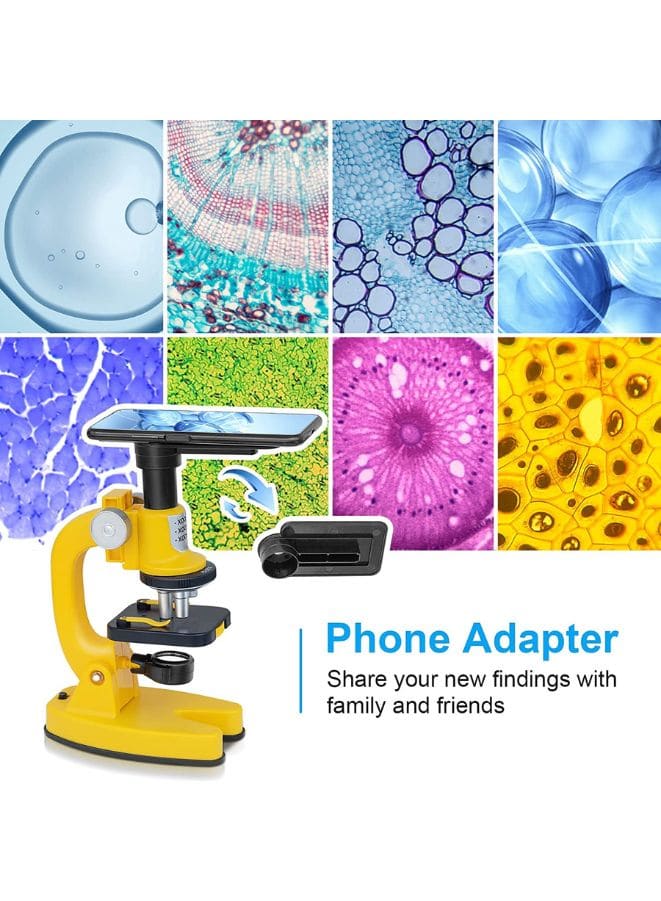 200X-1200X Microscope for Kids, with 4 Colored Filters, Slide Set, Mineral Samples and Easy-to-Use Phone Holder, Science Experiment Kit Toys for Children Aged 8+ - Fatio General Trading