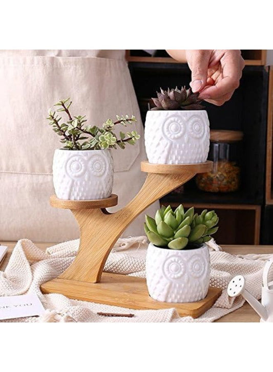3 Pcs Cute Owl Pot Succulent Indoor Flower Pots for Home Interior Design with Bamboo Saucers Stand Holder (Owl Pot with Stand)(Plants NOT Included) - Fatio General Trading