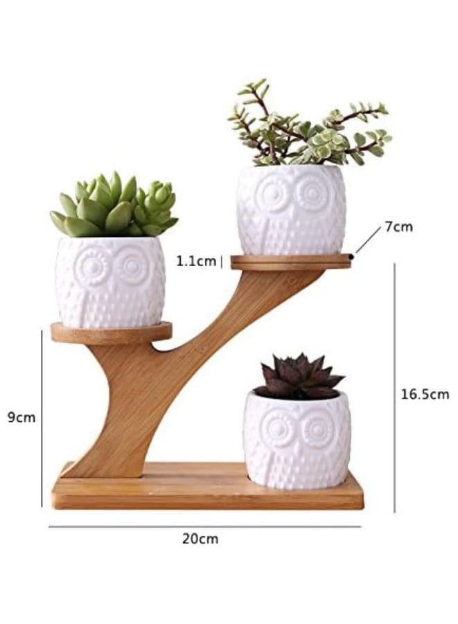 3 Pcs Cute Owl Pot Succulent Indoor Flower Pots for Home Interior Design with Bamboo Saucers Stand Holder (Owl Pot with Stand)(Plants NOT Included) - Fatio General Trading