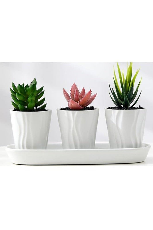 3 Pcs Geometric Succulent Designed Indoor Flower Pots with Trey, Set of 3 White Ceramic Succulent Cactus Square Plant Pots with Bamboo Tray (Plants NOT Included) - Fatio General Trading