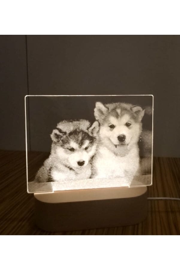3D Acrylic Night Light Table Lamp with Wooden Base, Best Gift for Birthday, Anniversary, and Home Decor (Dogs) - Fatio General Trading