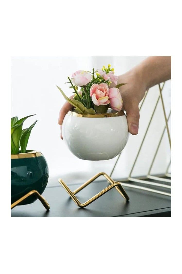 3pcs Small Succulent Indoor Flower Pots, Plant Pot Small Flowerpot Succulent Container for Store Office Home Interior Design (Plants NOT Included) - Fatio General Trading
