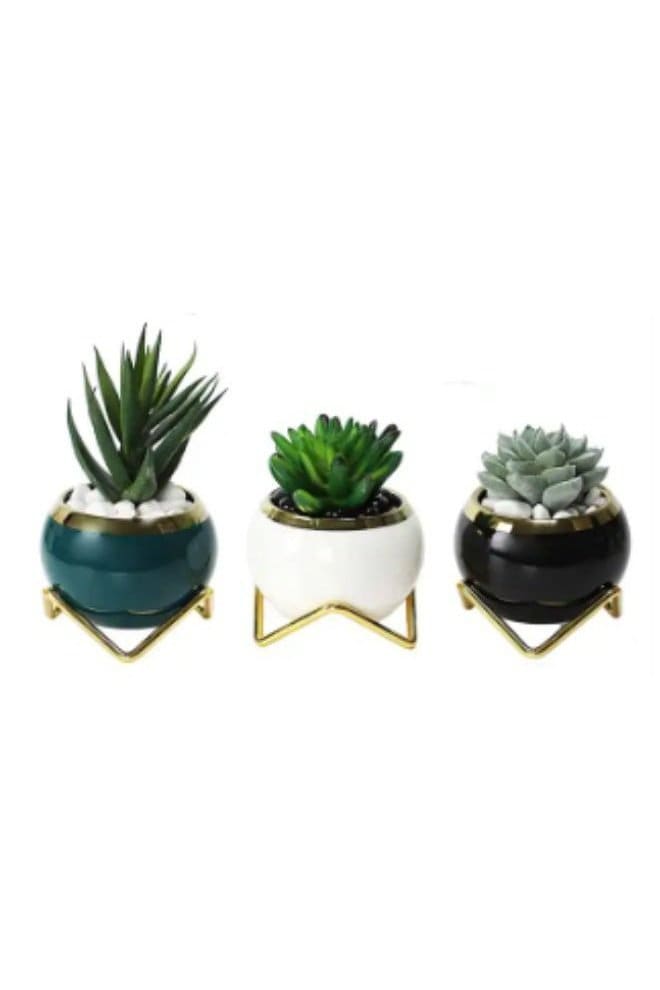 3pcs Small Succulent Indoor Flower Pots, Plant Pot Small Flowerpot Succulent Container for Store Office Home Interior Design (Plants NOT Included) - Fatio General Trading