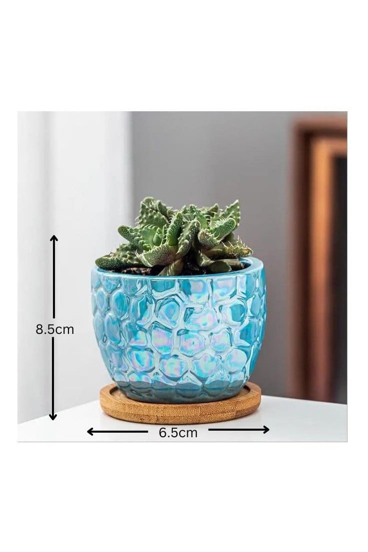 4 Pcs Ceramic Flowerpot Set Succulent Plant Pots Nordic Simple Style Design Planter Cactus Flower Pot With Tray Home Interior Design Garden D cor