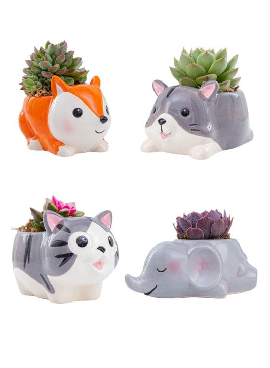 4 Pcs Cute Succulent Indoor Flower Pots with Drainage Hole Flower Plant Pot Cartoon Ceramic Tiny Pot for Home Interior Design Set of 4 (Plants NOT Included) - Fatio General Trading