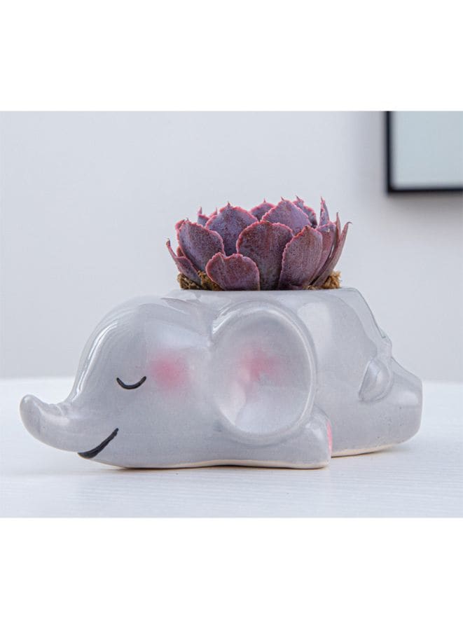 4 Pcs Cute Succulent Indoor Flower Pots with Drainage Hole Flower Plant Pot Cartoon Ceramic Tiny Pot for Home Interior Design Set of 4 (Plants NOT Included) - Fatio General Trading