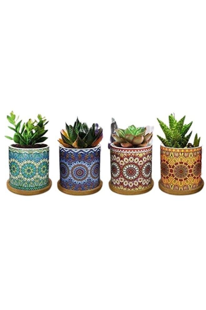 4 Pcs Succulent Plant Pots Small Modern Ceramic Indoor Flower Pots with Bamboo Tray for Cactus Herbs Home Interior Design 6 (Plants Not Included) - Fatio General Trading