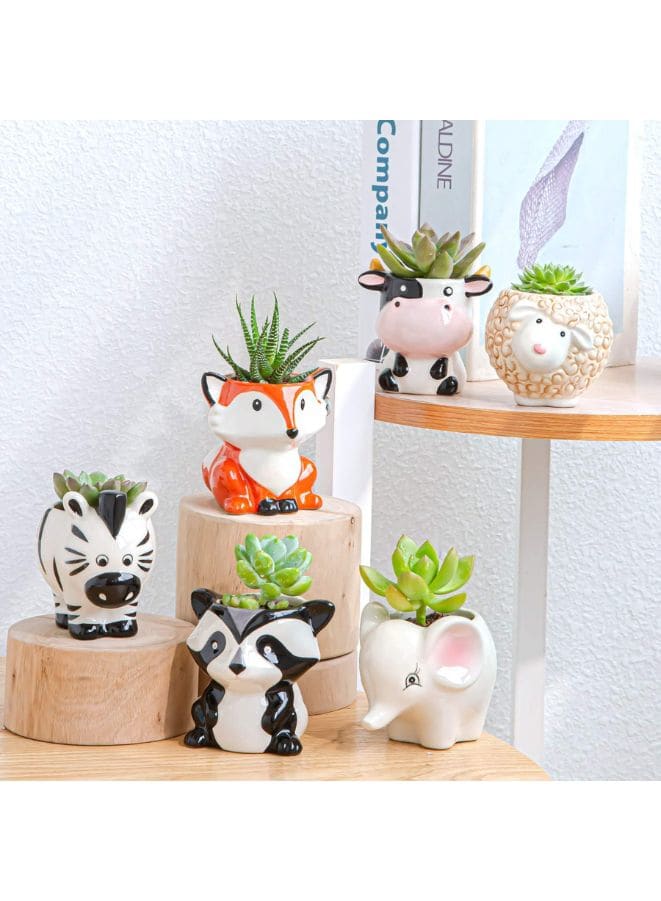 6 Pcs Cute Succulent Indoor Flower Pots, Plant Pots with Drainage Hole, Ceramic Tiny Pot for Living Room Interior Design Set of 6 (Plants NOT Included) - Fatio General Trading