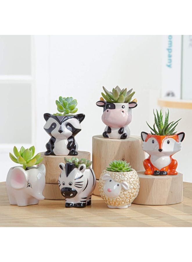 6 Pcs Cute Succulent Indoor Flower Pots, Plant Pots with Drainage Hole, Ceramic Tiny Pot for Living Room Interior Design Set of 6 (Plants NOT Included) - Fatio General Trading