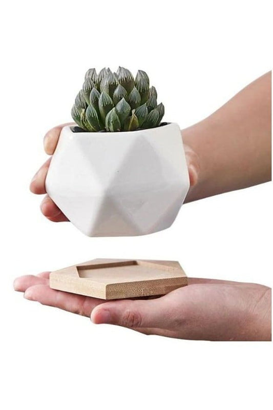 6 Pcs Geometric Succulent Indoor Flower Pots, Set of 6 White Ceramic Succulent Minimalist Plant Pot with Bamboo Tray (Plants NOT Included) - Fatio General Trading