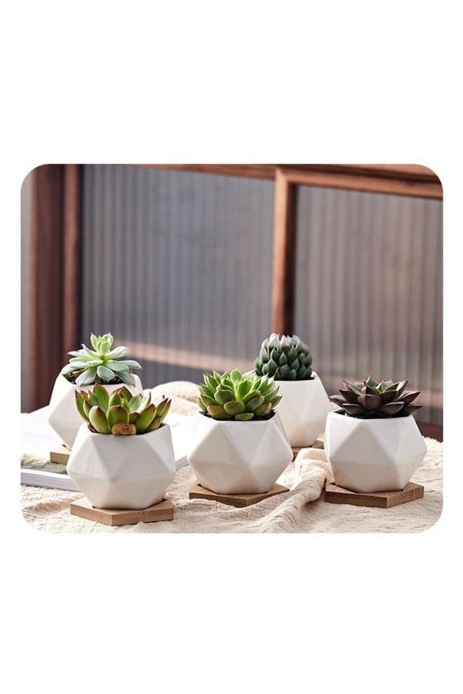 6 Pcs Geometric Succulent Indoor Flower Pots, Set of 6 White Ceramic Succulent Minimalist Plant Pot with Bamboo Tray (Plants NOT Included) - Fatio General Trading