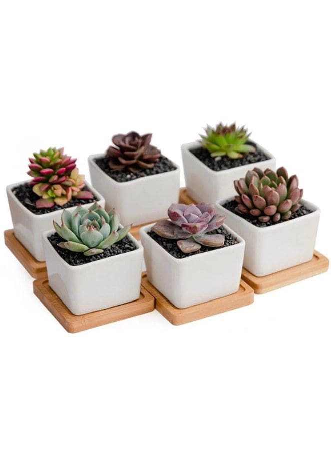 6 Pcs Geometric Succulent Indoor Flower Pots, Set of 6 White Ceramic Succulent Square Plant Pots with Bamboo Tray (Plants NOT Included) - Fatio General Trading
