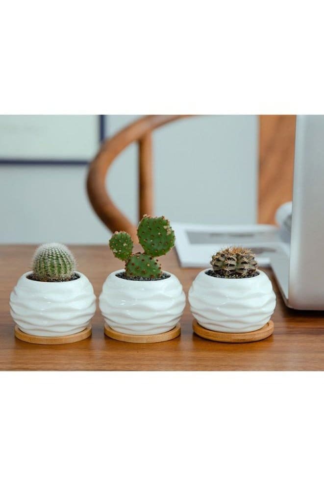 6 Pcs Geometric Succulent Indoor Flower Pots, Set of 6 White Ceramic Succulent Wave Design Plant Pots with Bamboo Tray (Plants NOT Included) - Fatio General Trading