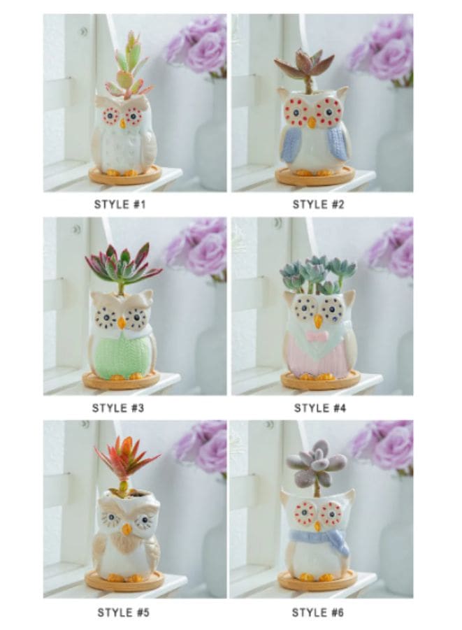 6 Pcs Owl Ceramic Succulent Indoor Flower Pots with Drainage Hole, Handicraft Plant Pots for Living Room Interior Design, Office, Garden Decoration Set of 6 (Plants NOT Included) - Fatio General Trading