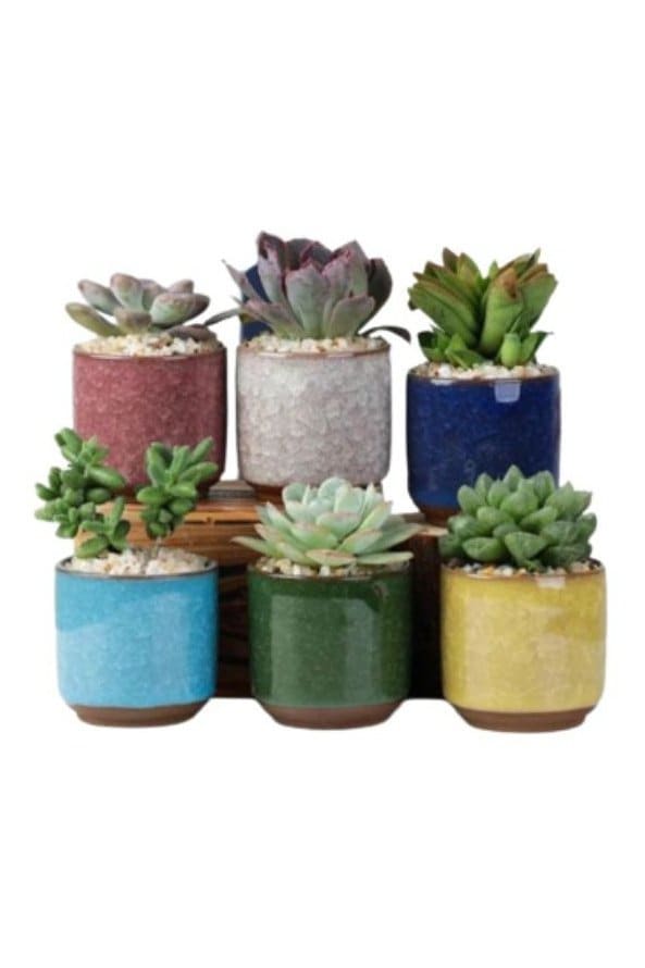 6pcs Small Succulent Plant Pots Plant Container Small Flower pot for Store Office Living Room Interior Design (plant not included) - Fatio General Trading