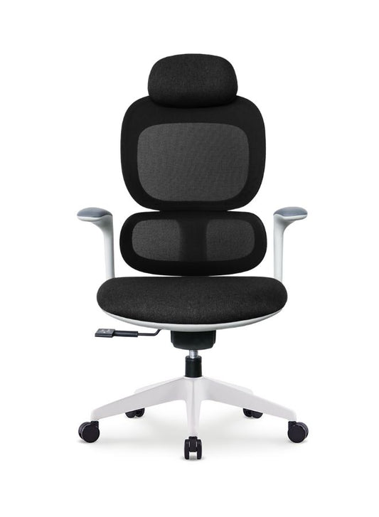 Modern Executive Ergonomic Office Chair Black