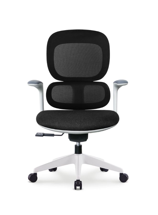 Modern Executive Ergonomic Office Chair 