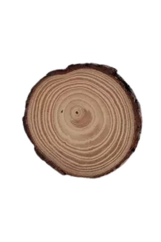 1 Pc Unfinished Wood Bark Slices Great for Wall decoration